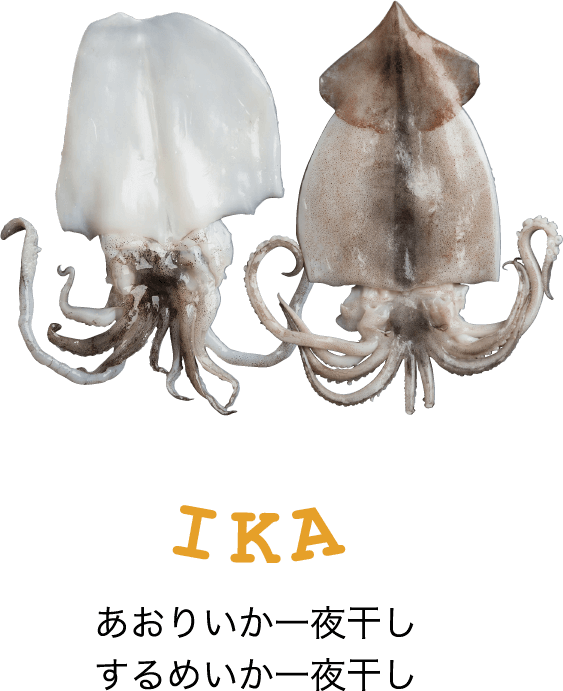あおりいか するめいか